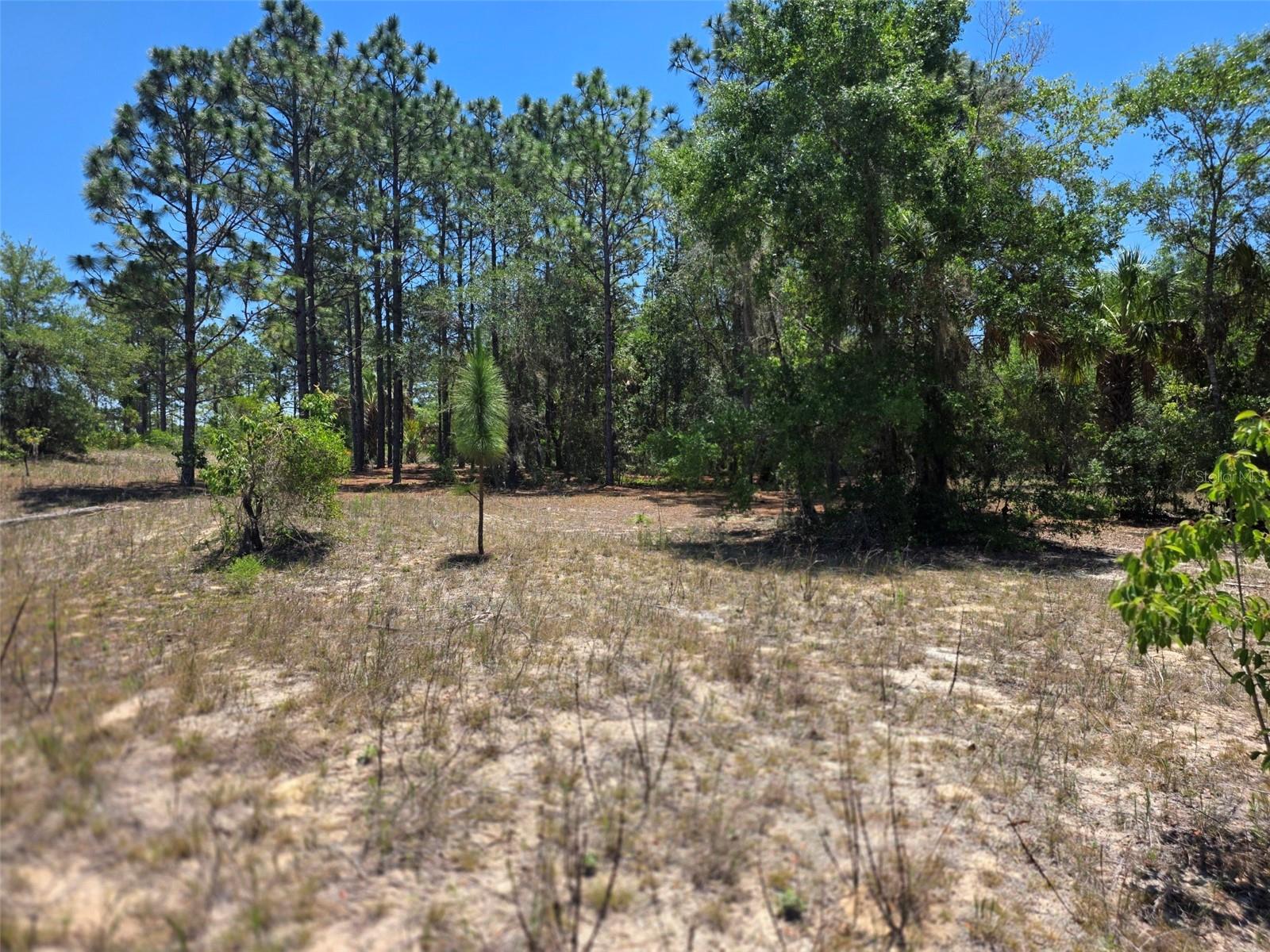 11837 N Captiva Ter, FL