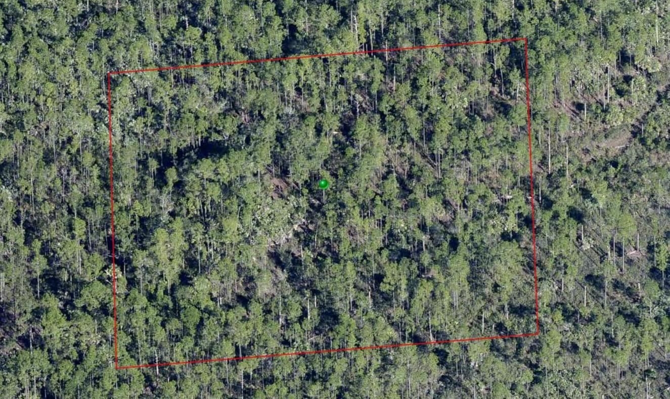 Lake Harney Road, FL