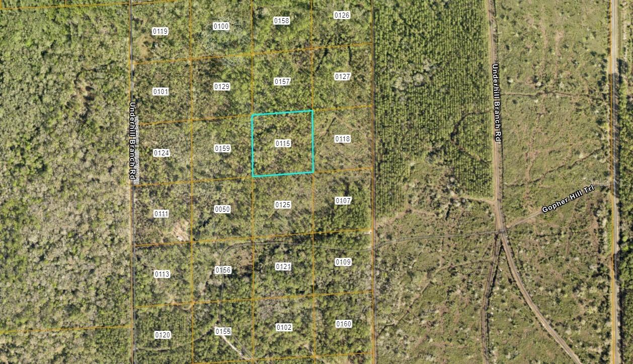 Lake Harney Road, FL