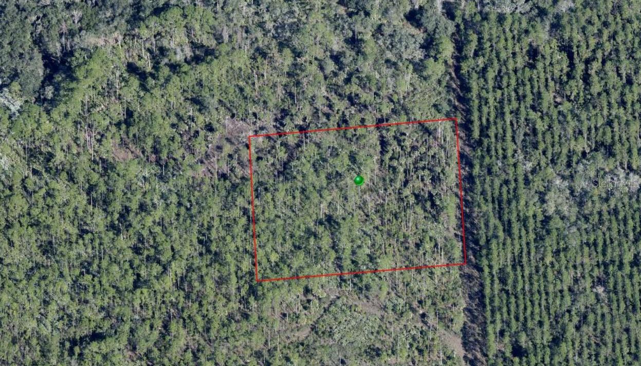 Lake Harney Road, FL