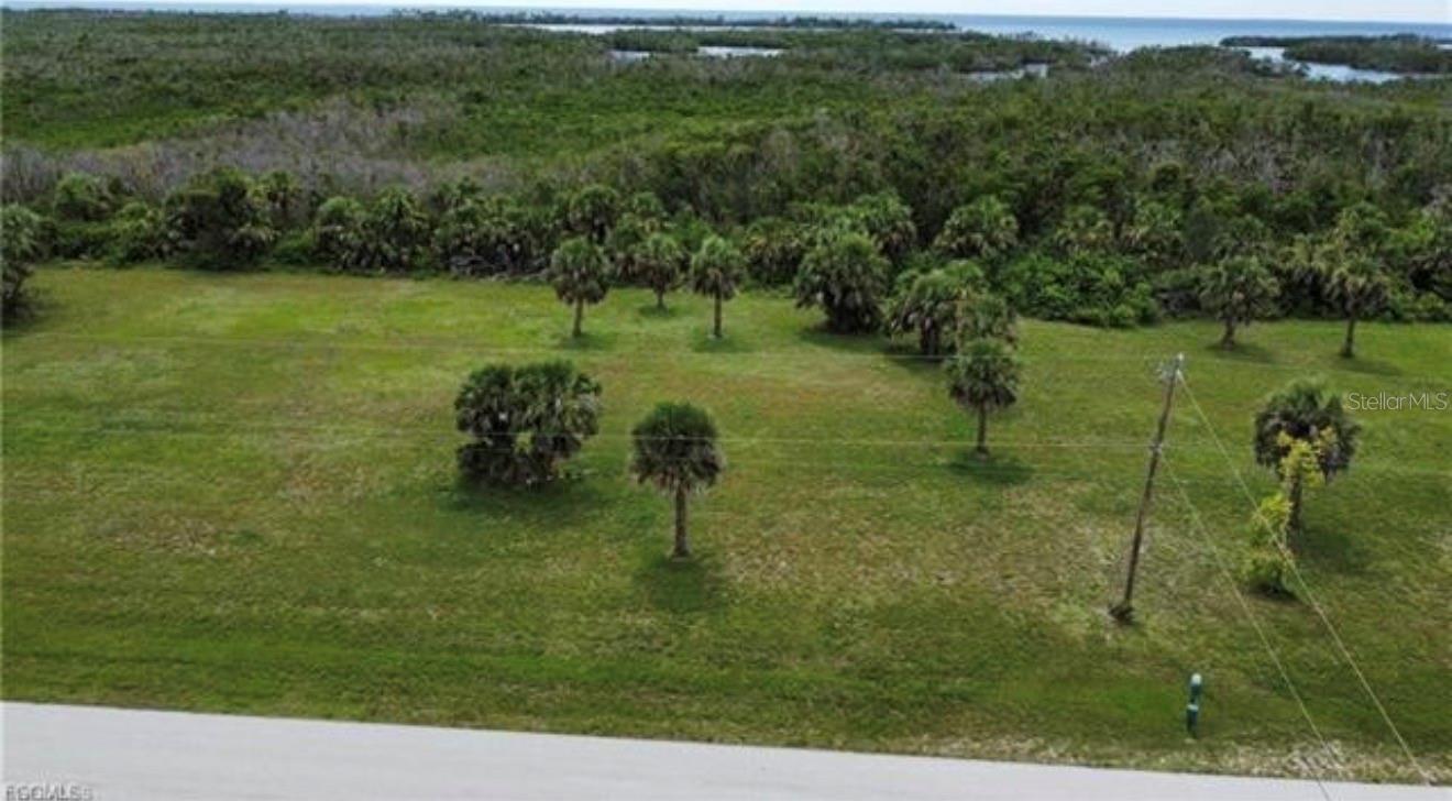 16801 San Edmundo Rd, FL