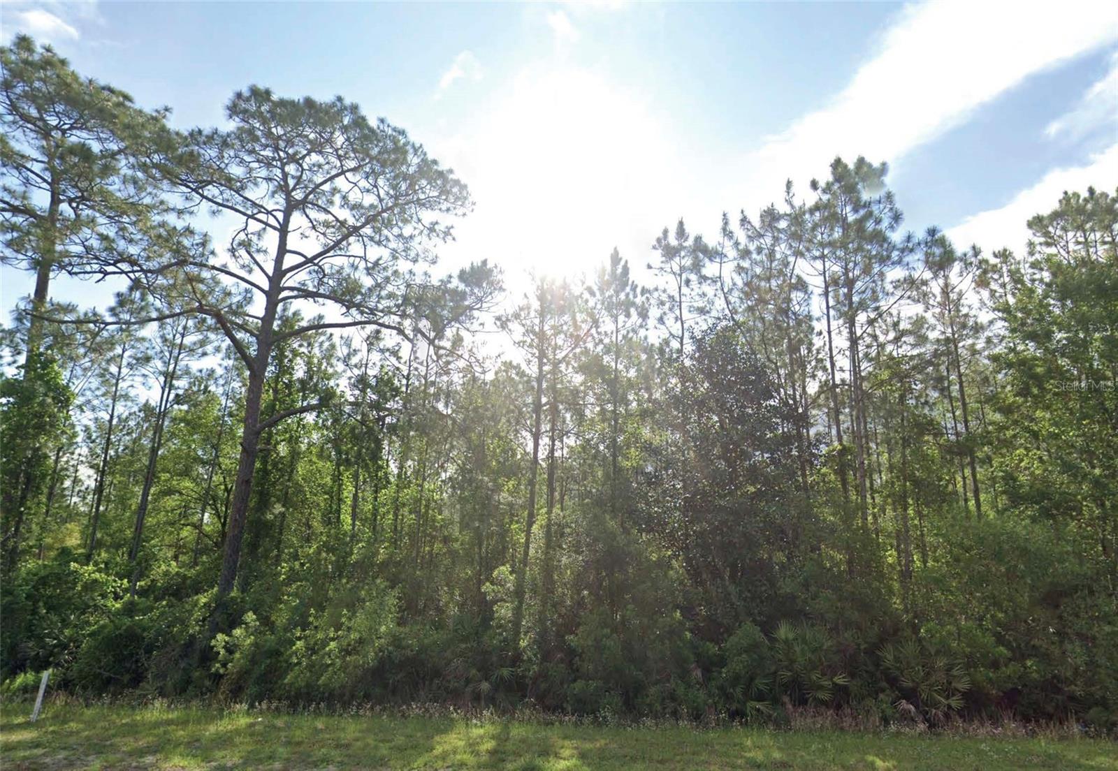 125 Madeira St, FL
