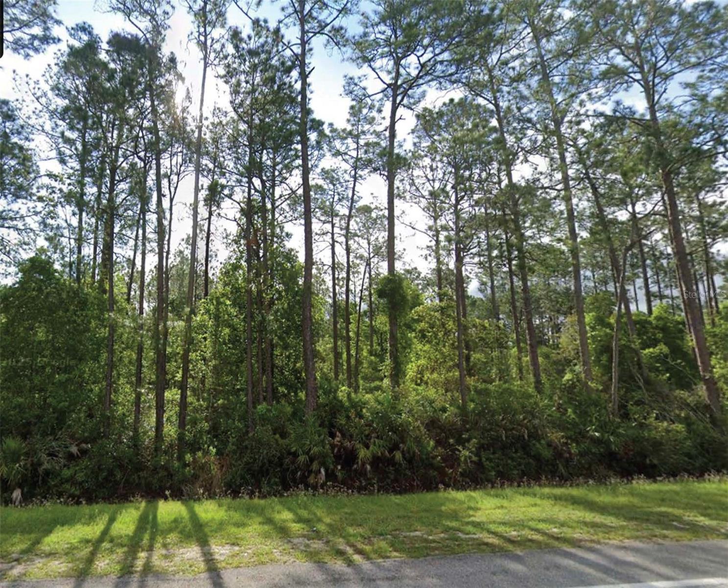 1501 S State Road 19, FL