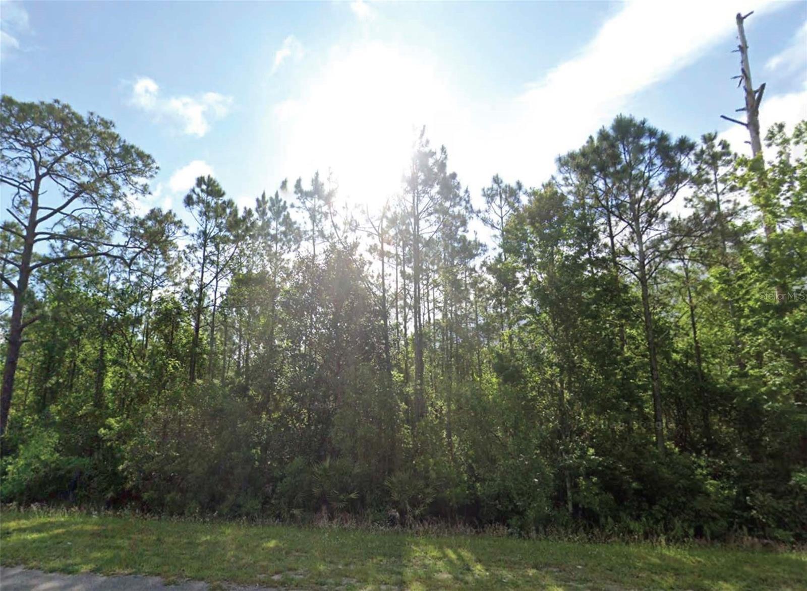 1677 S State Road 19, FL