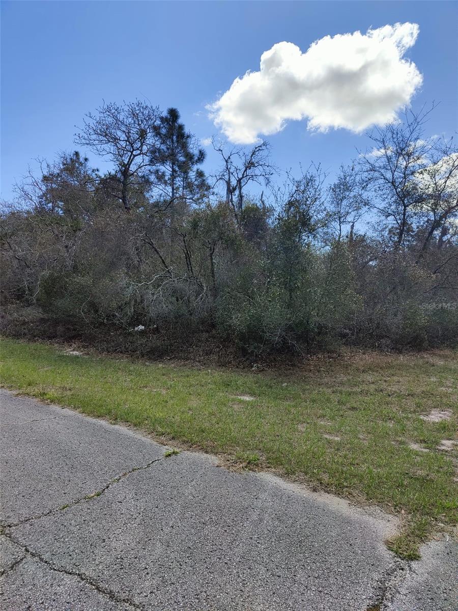 408 Vernon Ct, FL