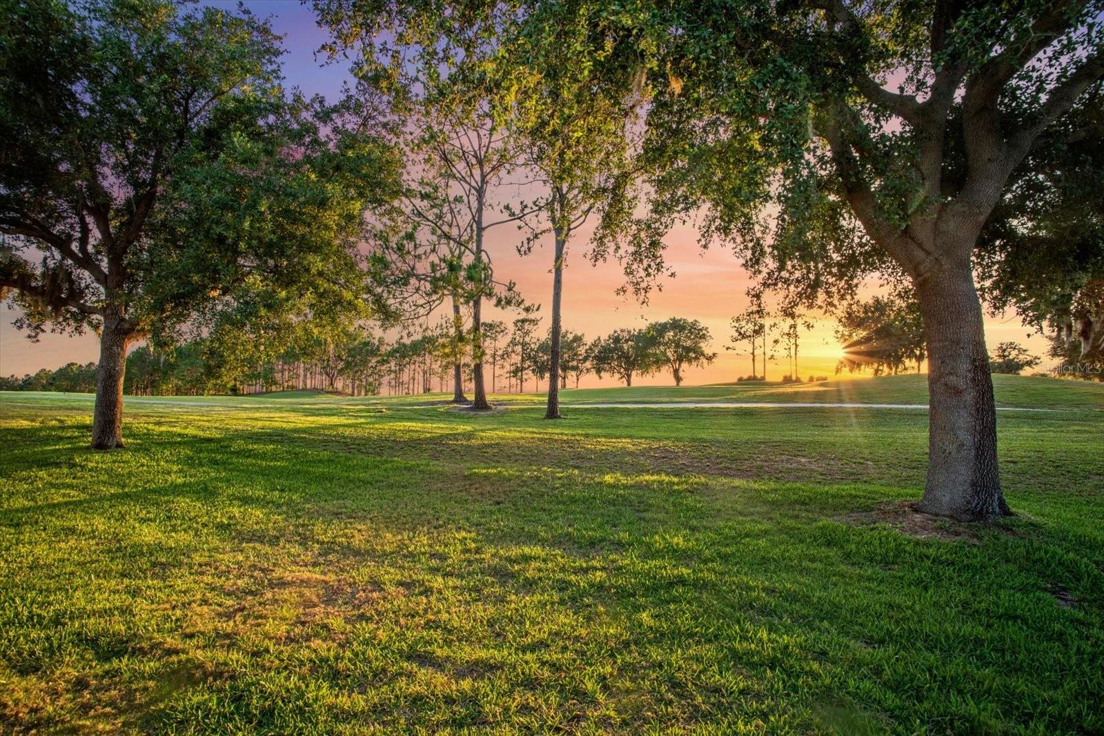 4328 Fawn Meadows Circle, FL