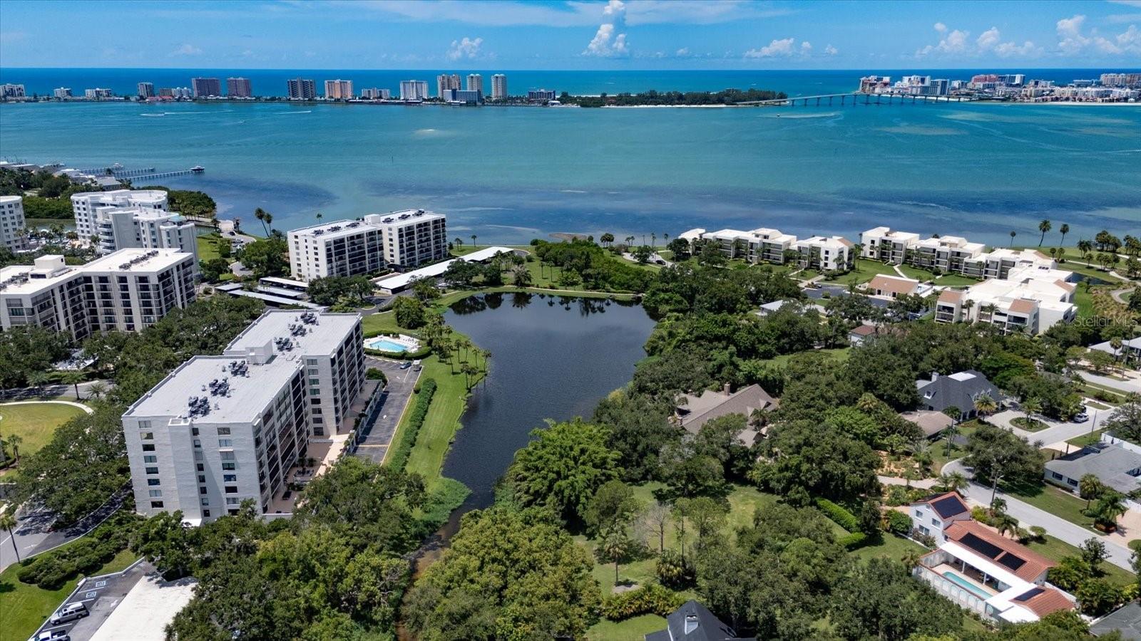 220 Belleview Boulevard, FL