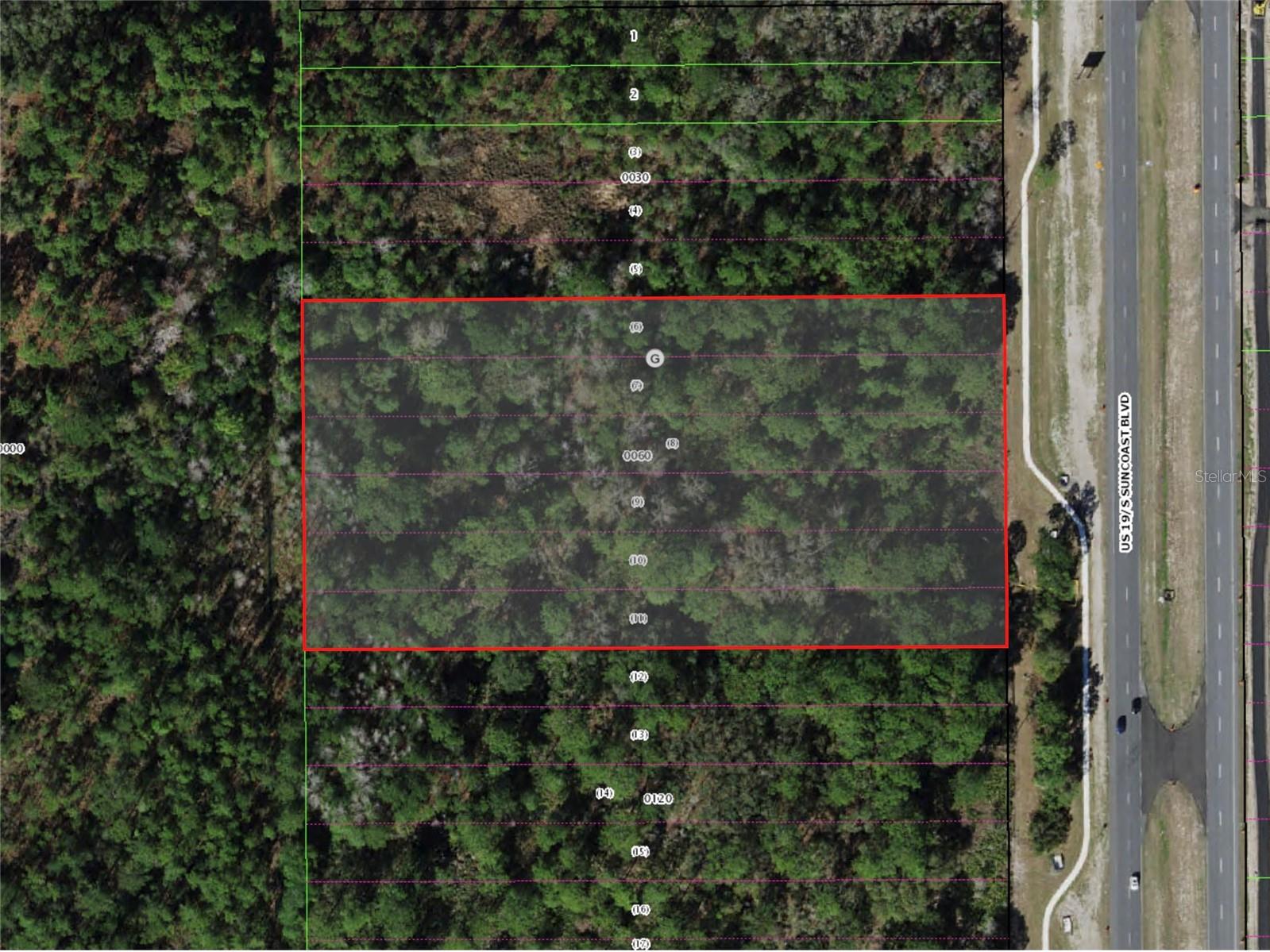 9054 Suncoast Boulevard, FL
