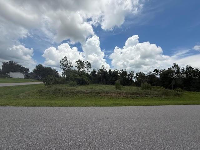 29500 Lillis St, FL