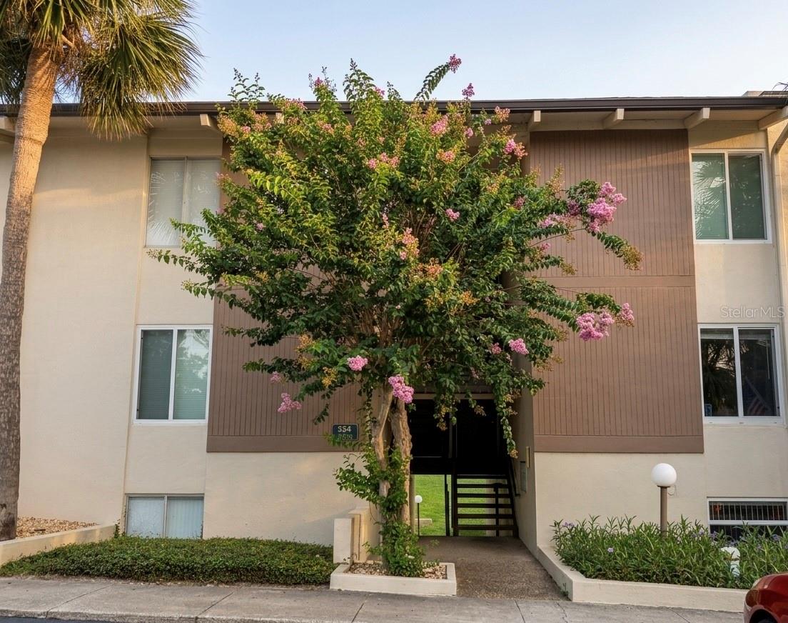 554 Orange Drive, FL