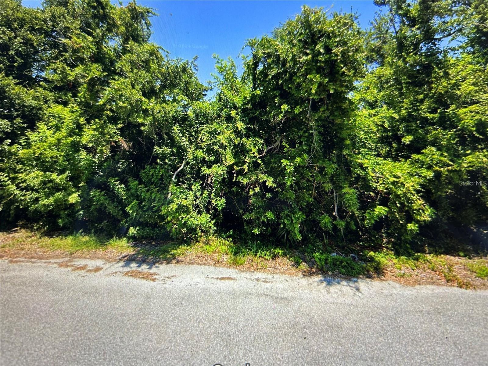 13357 Amaryllis Cir, FL