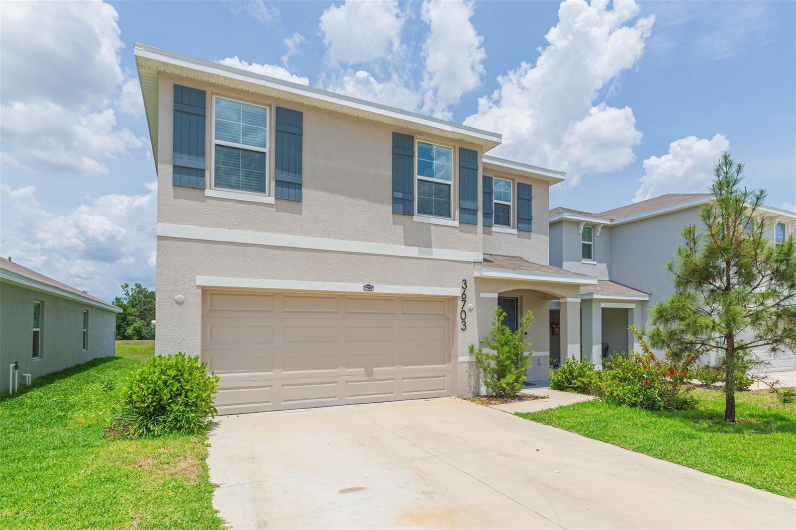 36703 Spanish Rose Drive, FL
