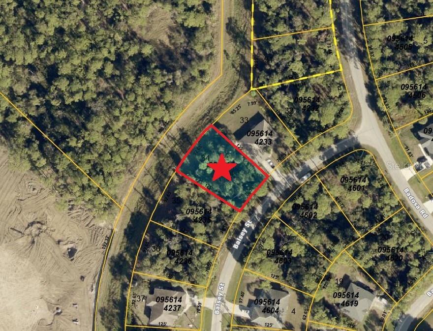 Lot 34 Balsey St, FL