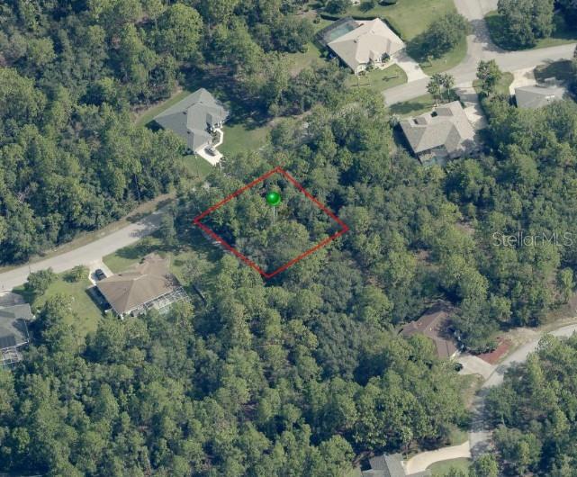 31 Saintpaulia St, FL