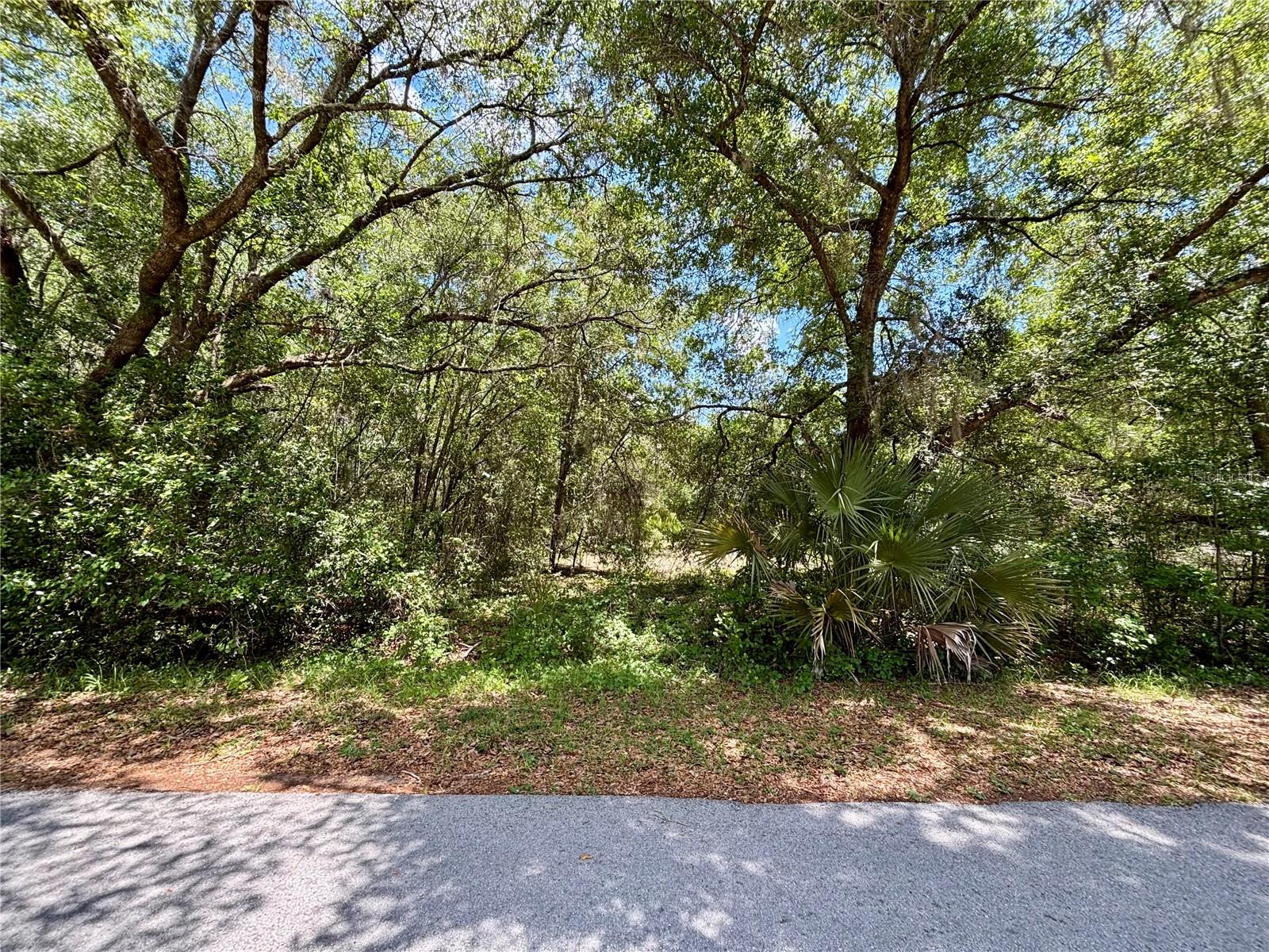 Lot 15 Sw Shorewood Dr, FL