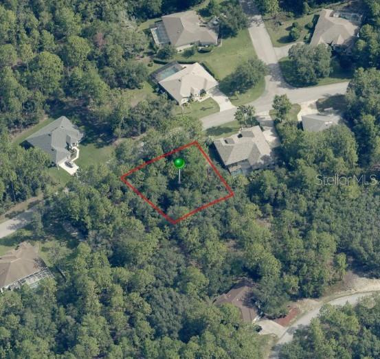 29 Saintpaulia St, FL