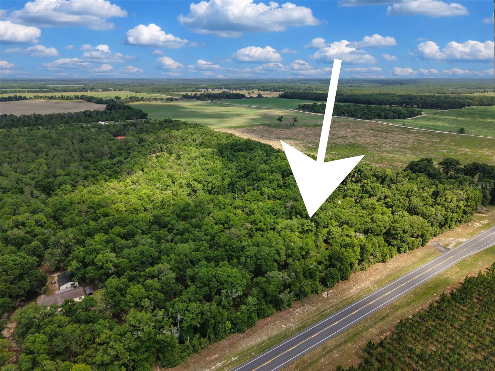 Lot 3 N State Rd 129, FL