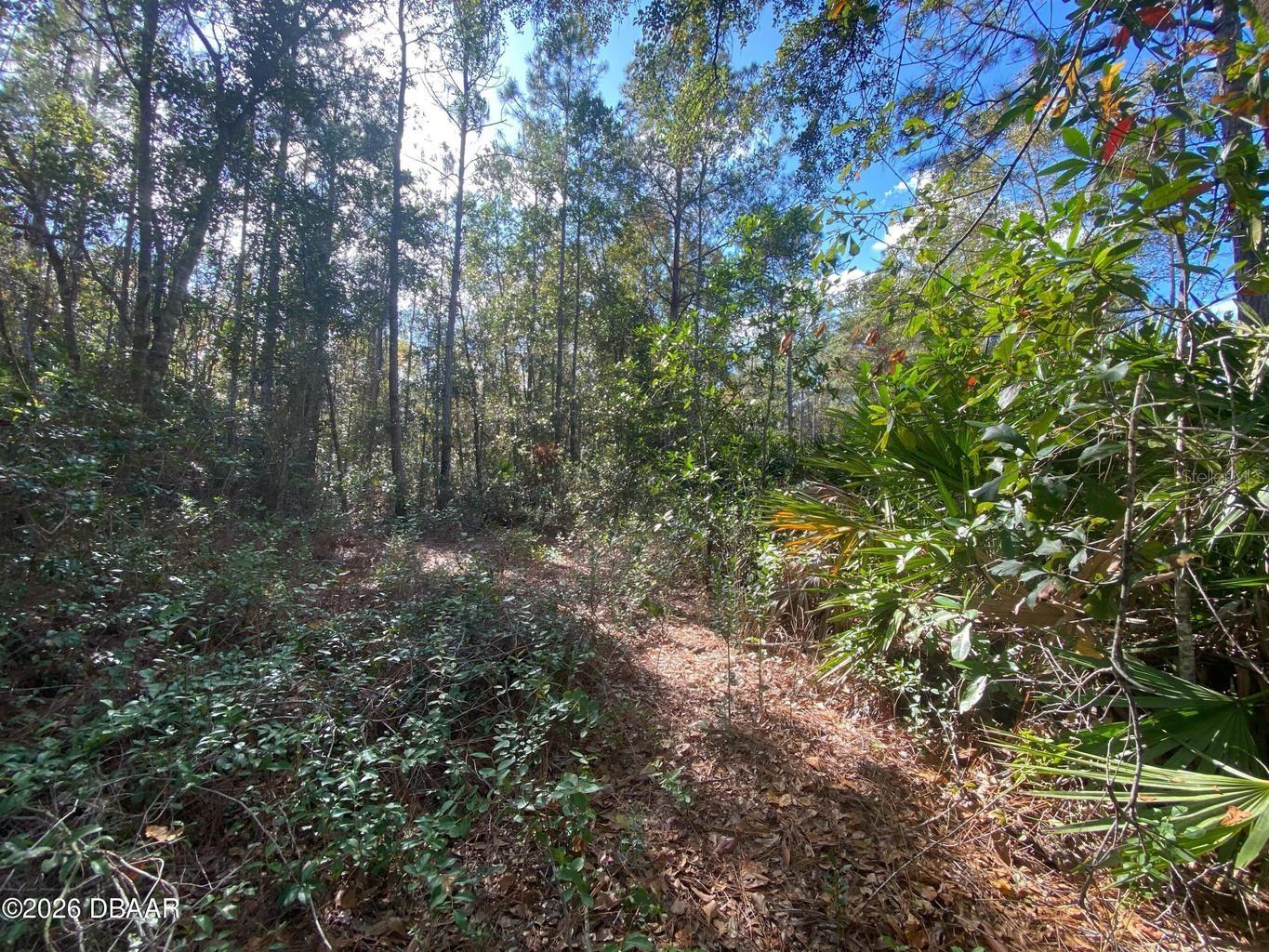 820 Old Bubbly Rd, FL