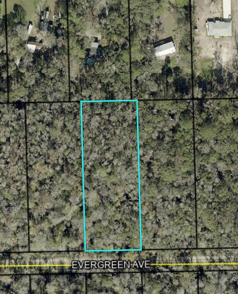 3740 Evergreen Ave, FL
