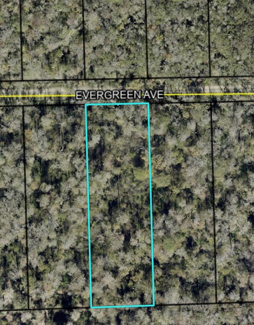 3741 Evergreen Ave, FL