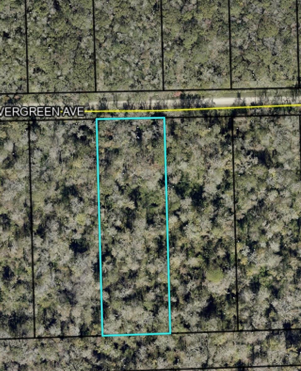 3655 Evergreen Ave, FL