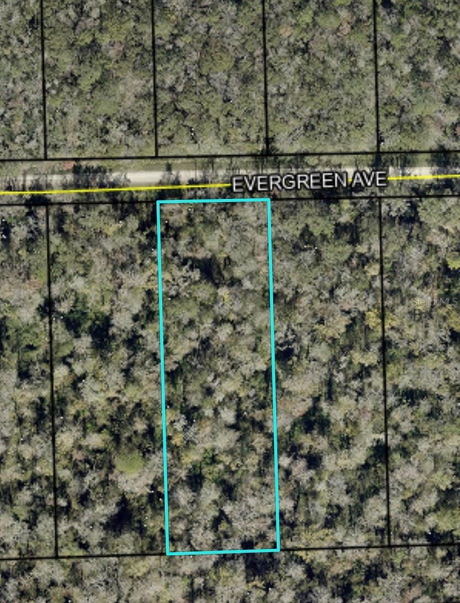 3599 Evergreen Ave, FL