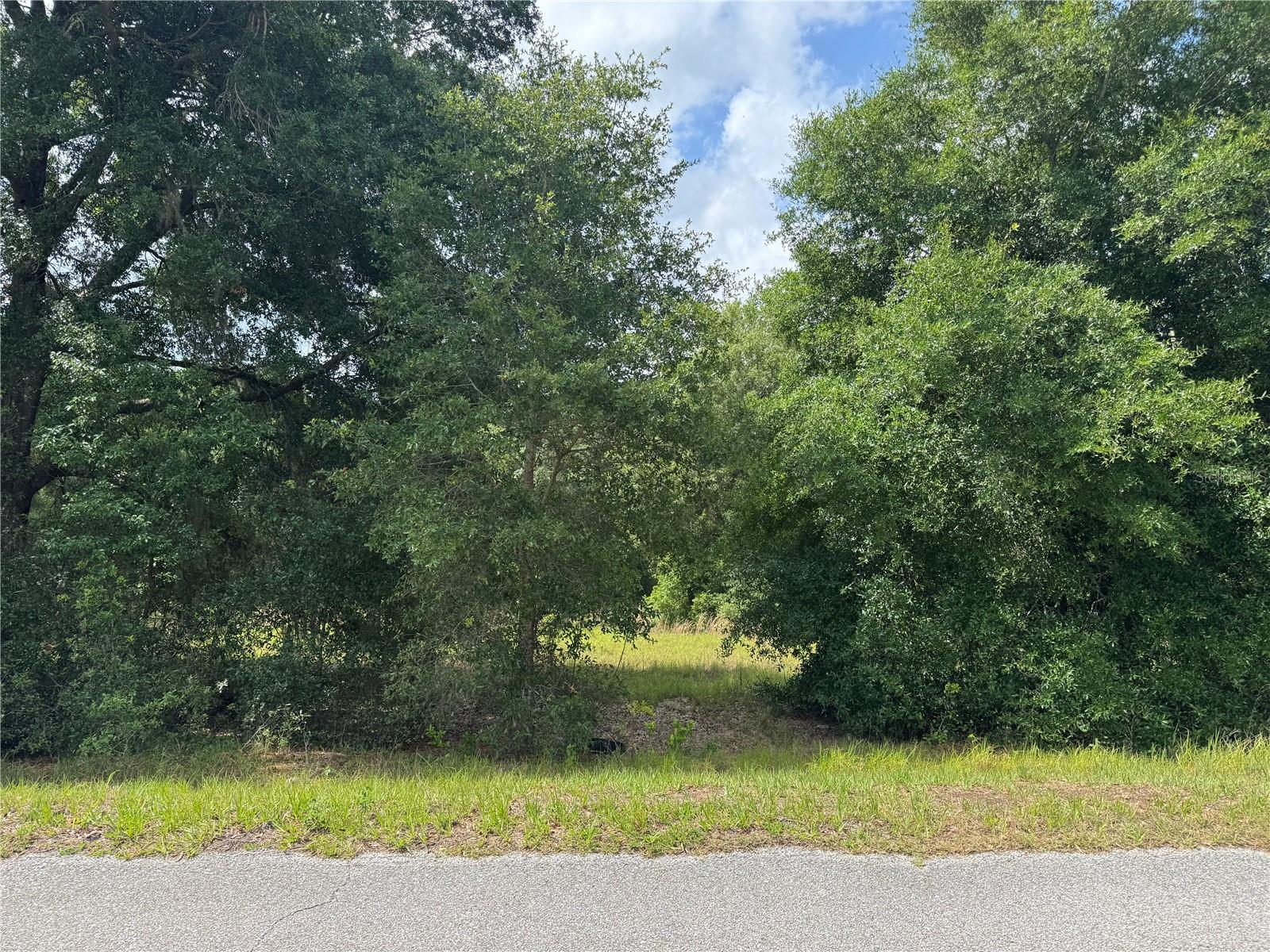 Tbd Keene Rd, FL
