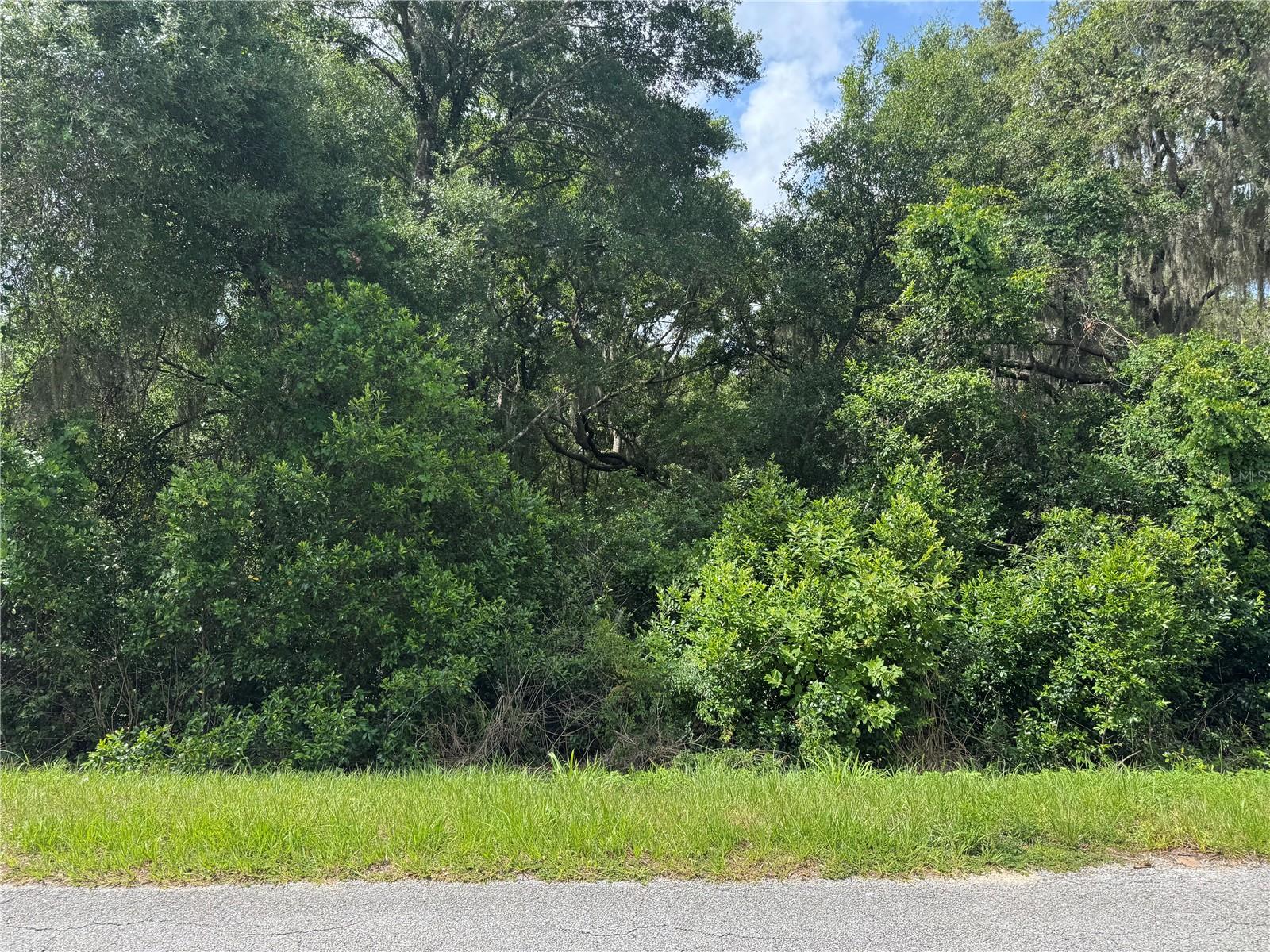 Tbd Keene Rd, FL