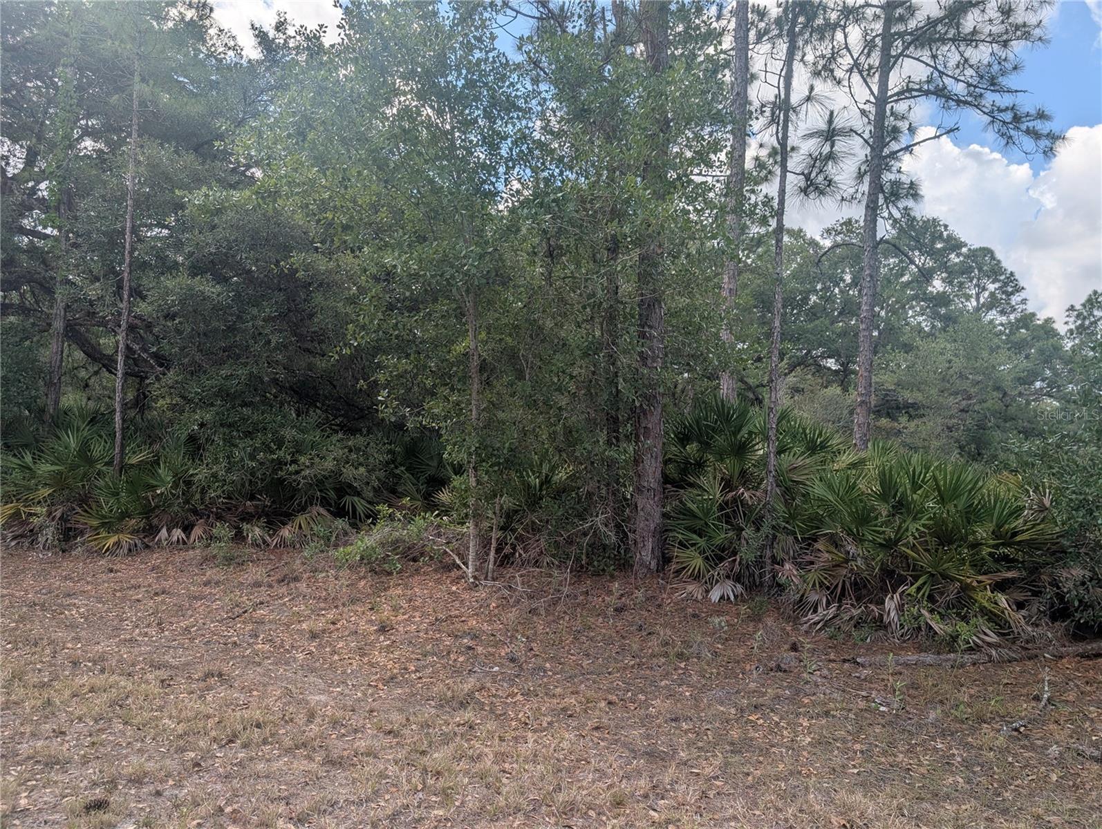Allamanda Dr, FL