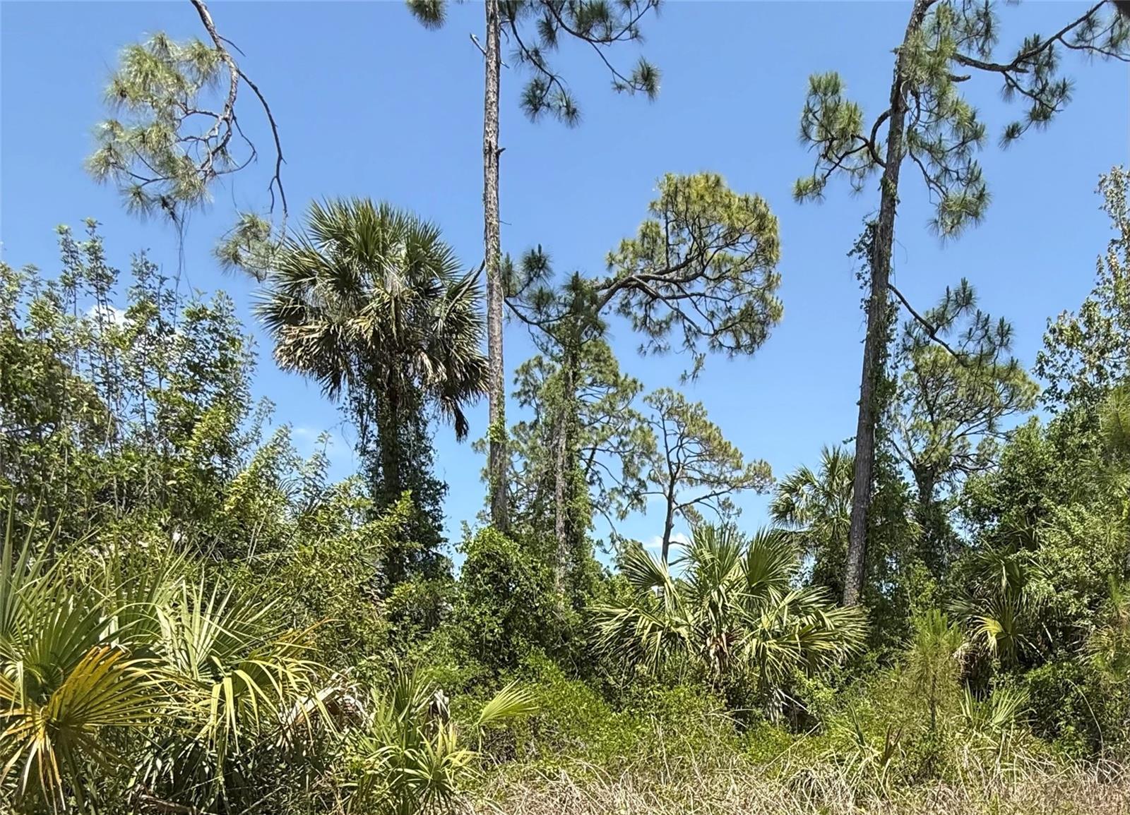 Lot 15 Coastal St, FL