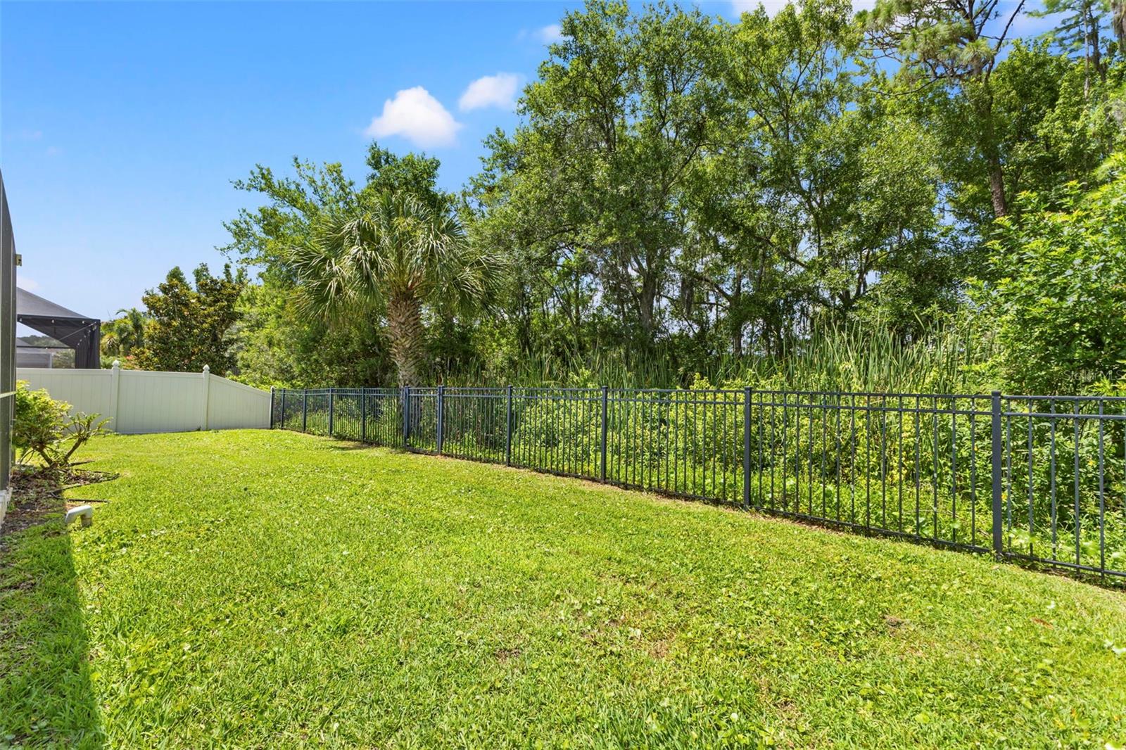 11621 Renaissance View Court, FL