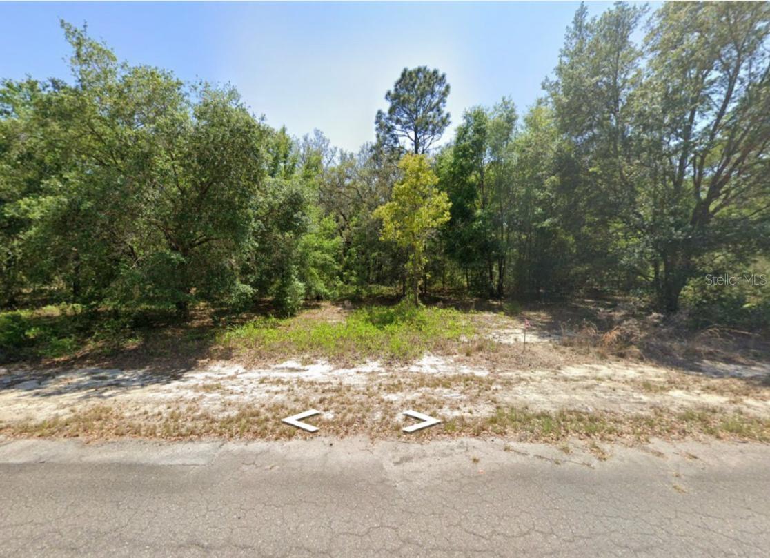 0 Guava Lane Place, FL