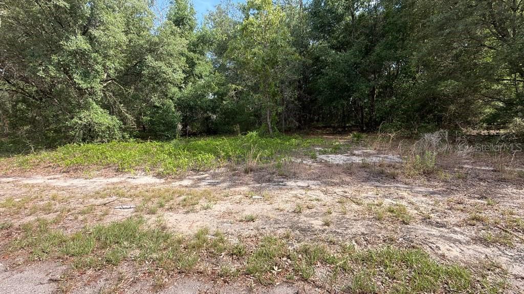 0 Guava Lane Place, FL