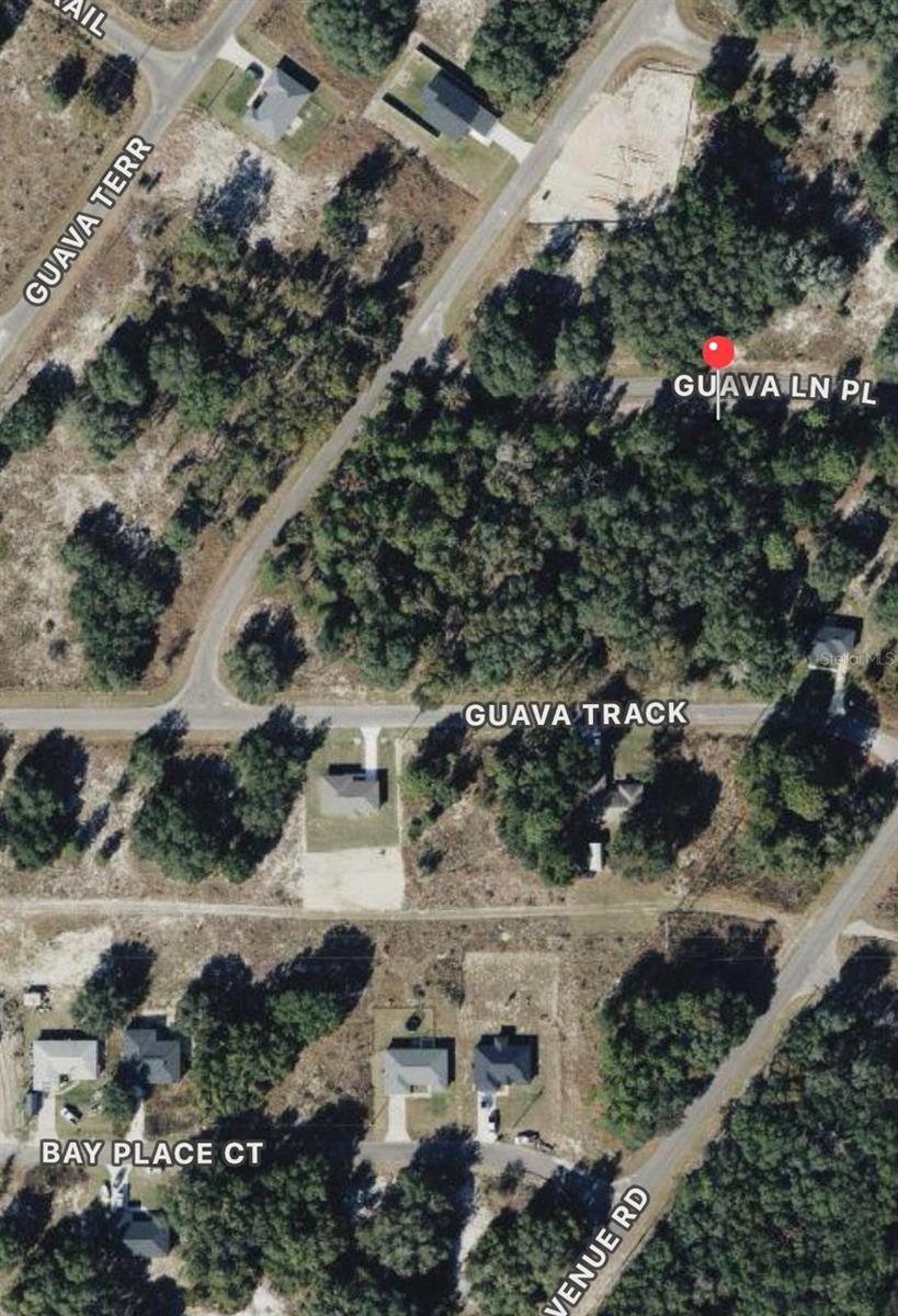 0 Guava Lane Place, FL