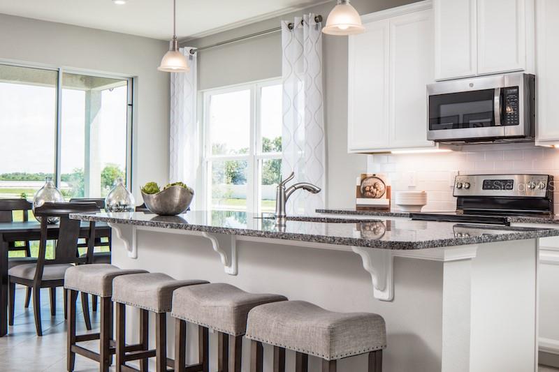 1051 Ocean Lodge Road, FL