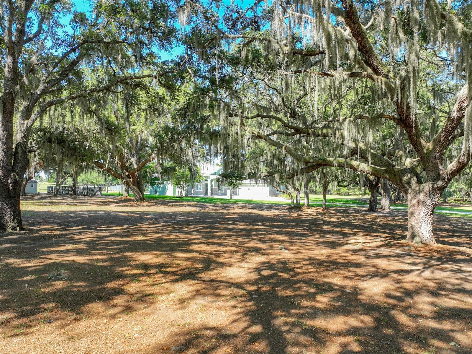 Trotting Horse Lane, FL