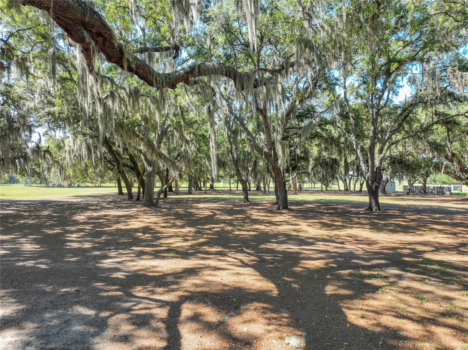 Trotting Horse Lane, FL