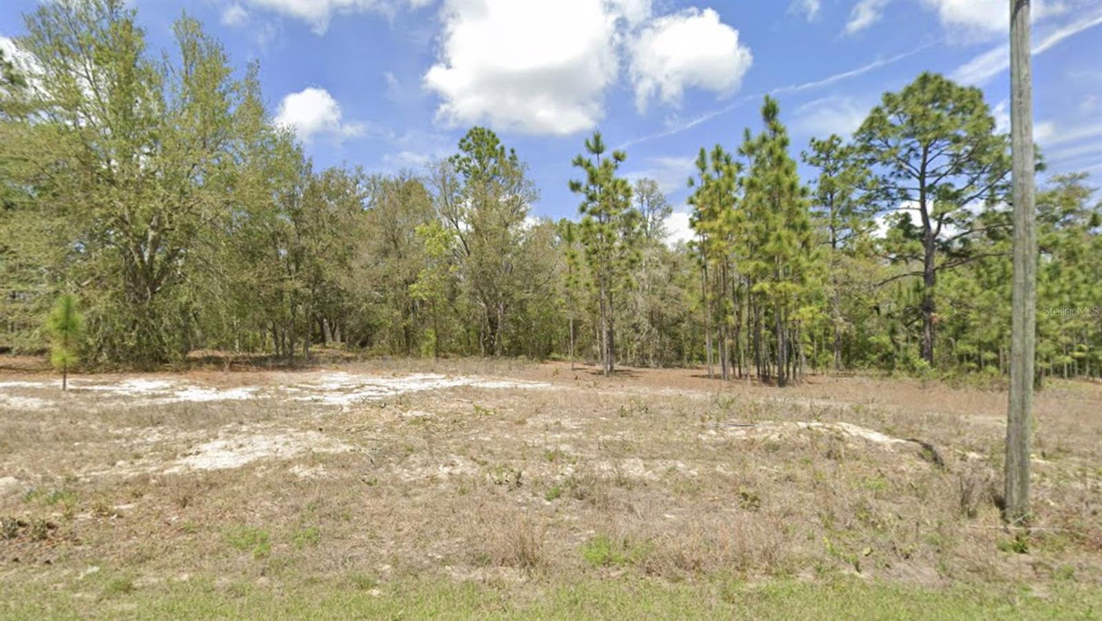 1907 W Corrine St, FL