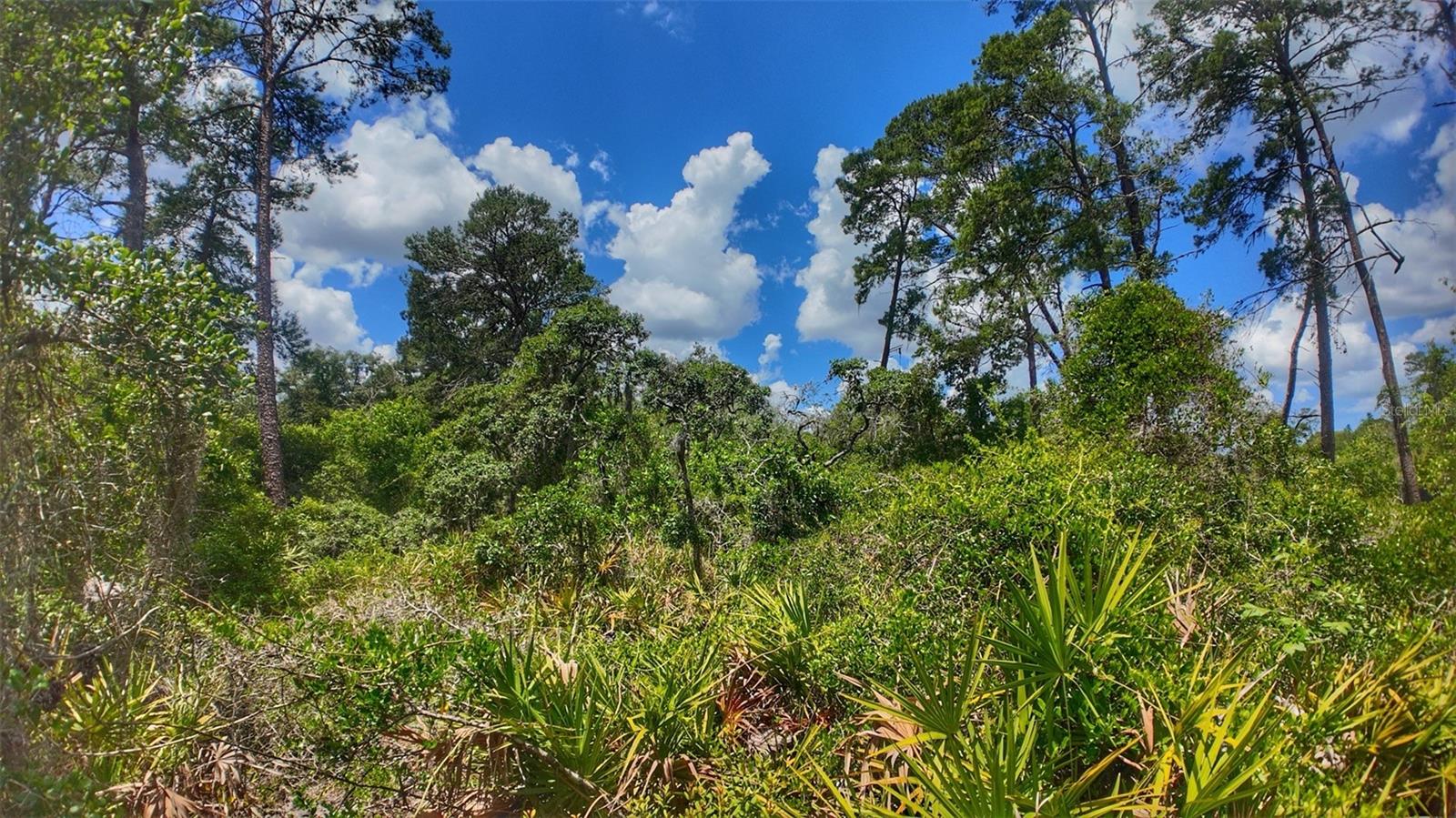 0 Lot 0370, FL