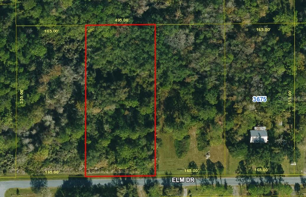 Elm Drive, FL