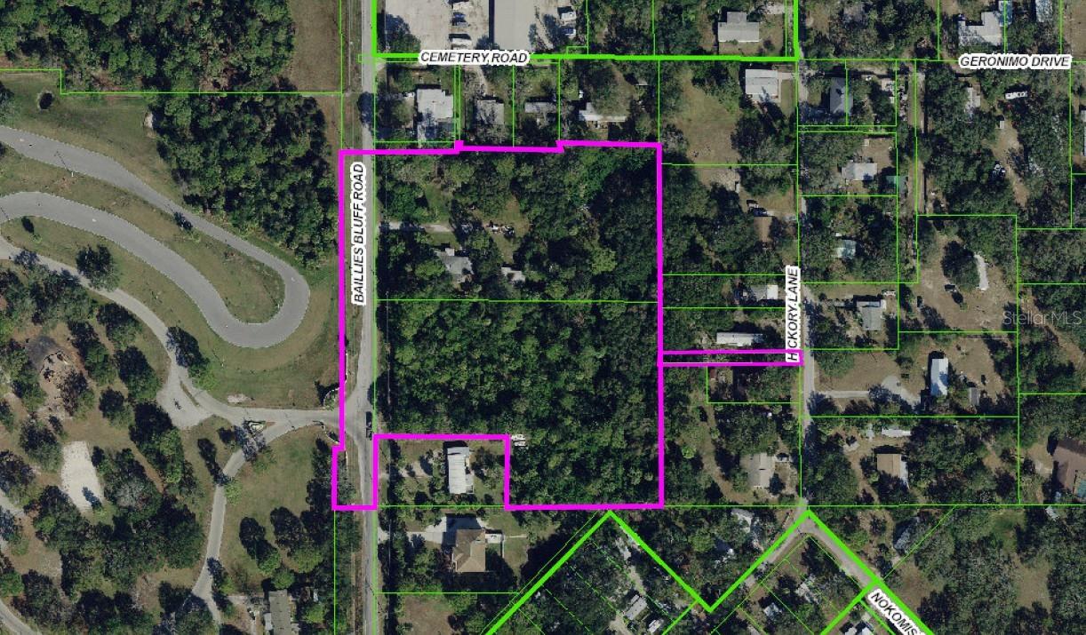 1204 Baillies Bluff Road, FL