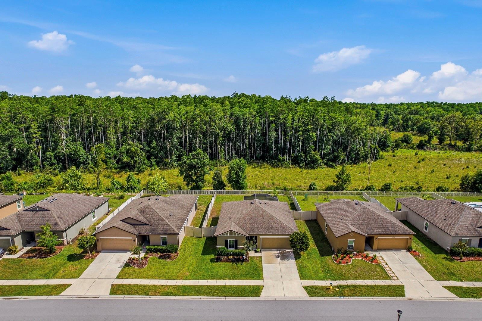 18738 Alfaro Loop, FL