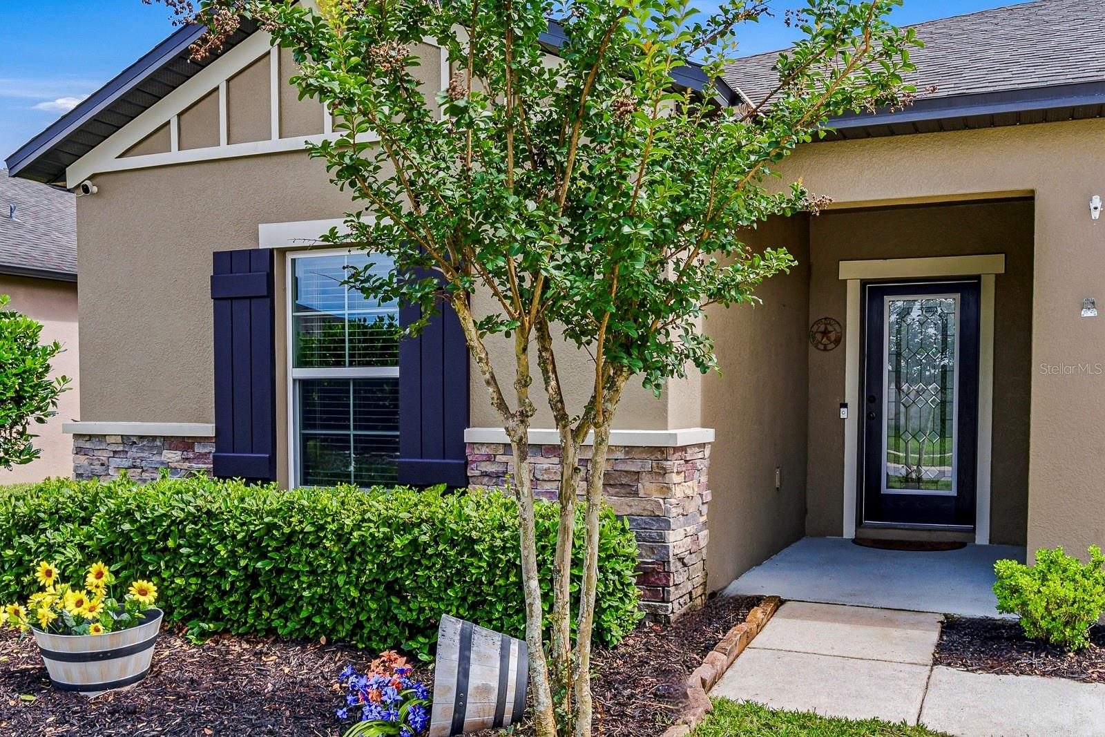 18738 Alfaro Loop, FL