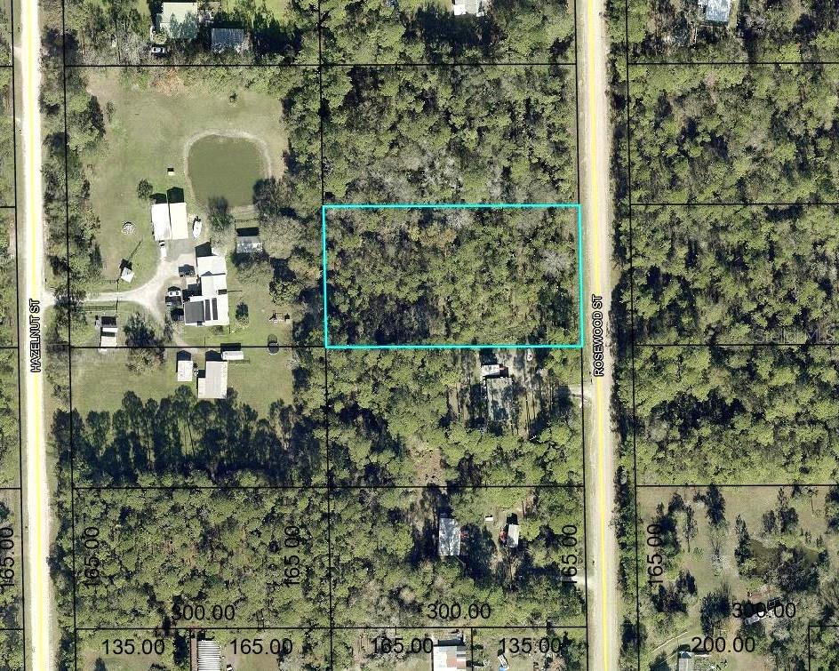 1352 Rosewood St, FL
