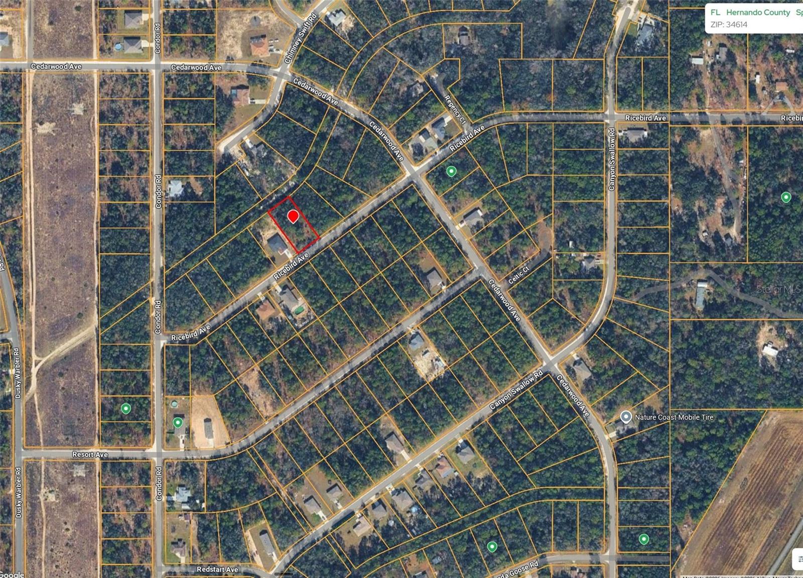 14041 Ricebird Ave, FL