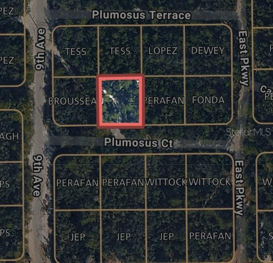 212 Plumosus Ct, FL