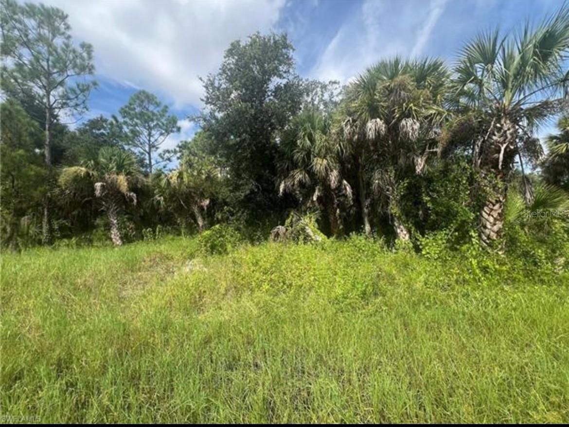 441 Admiral St, FL