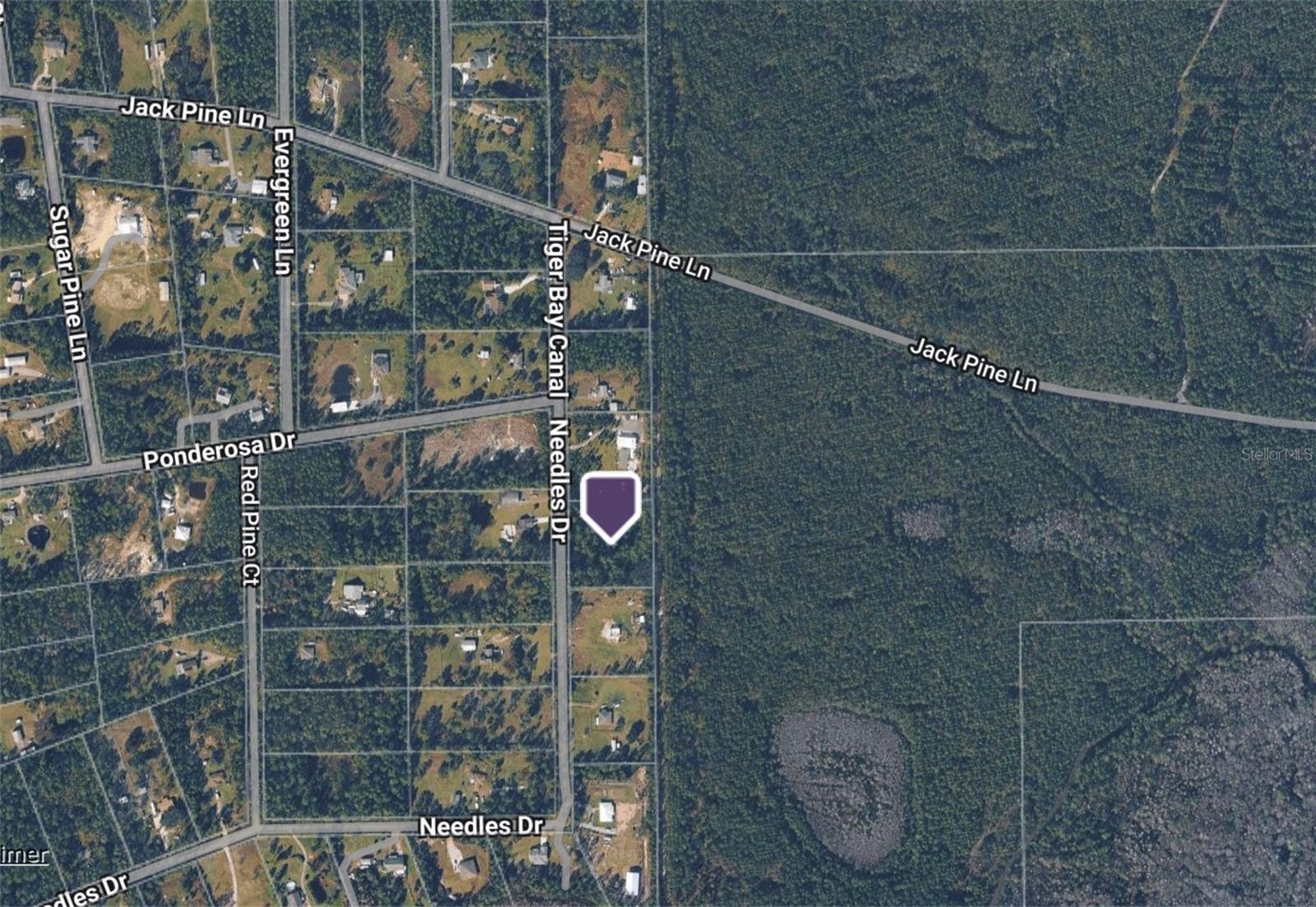 442 Needles Dr, FL
