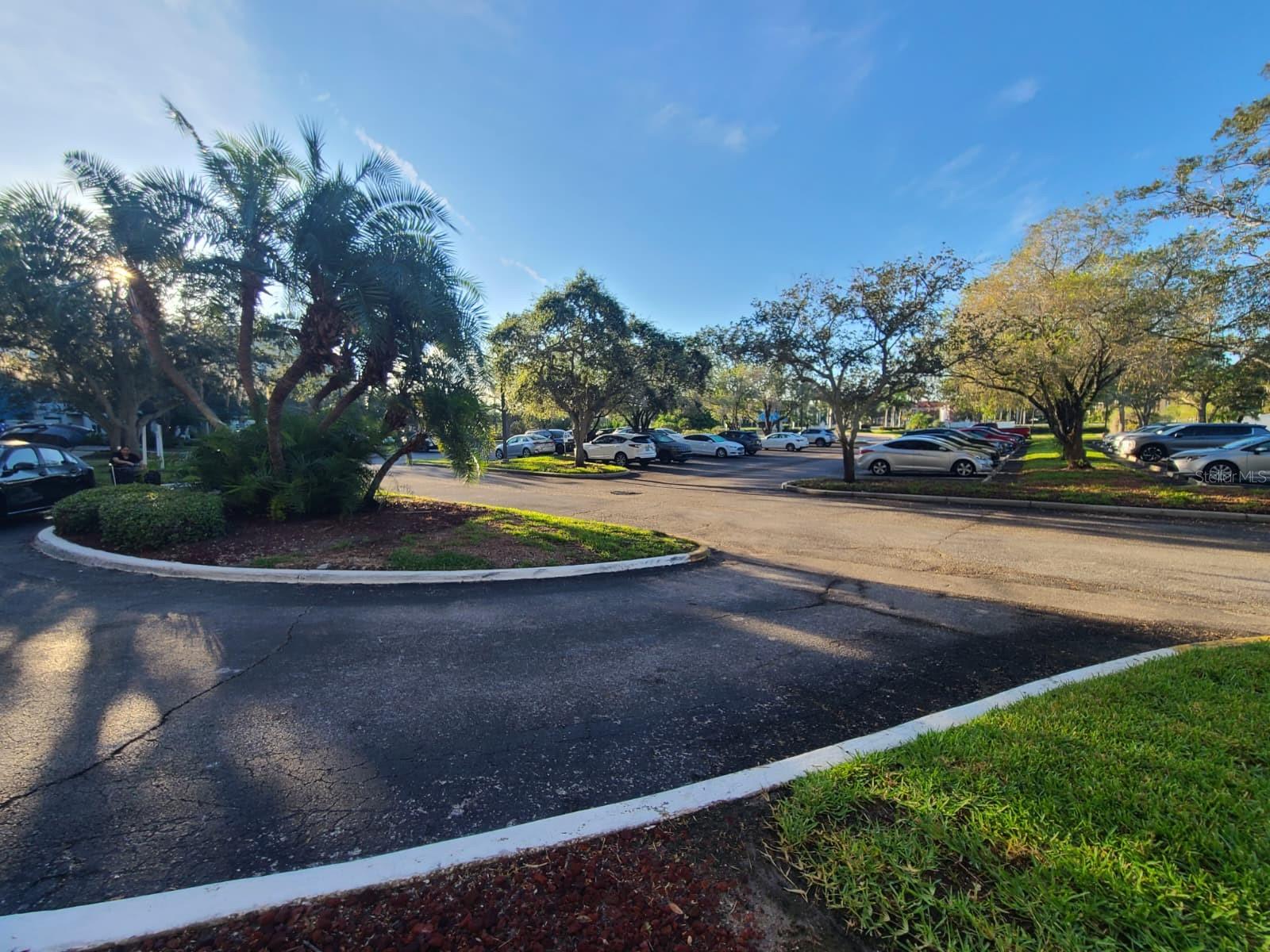 2333 Feather Sound Drive, FL