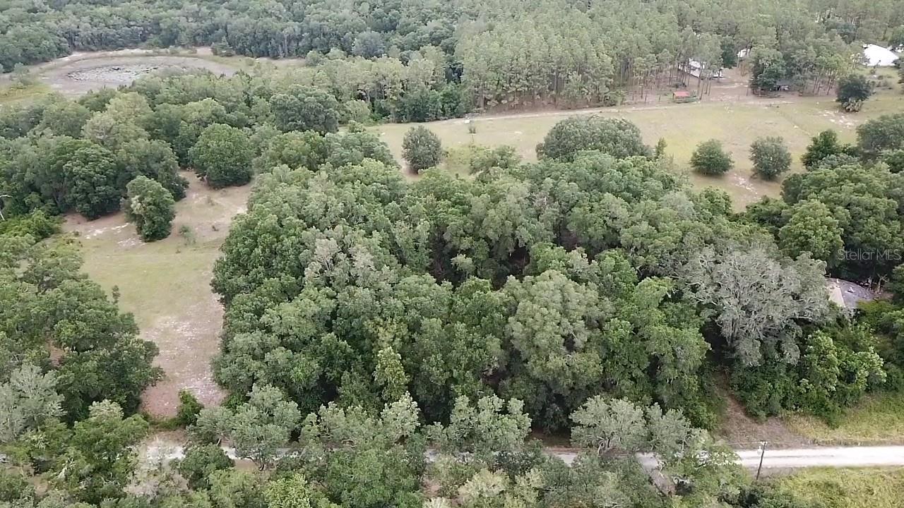 Se 175th Place, FL